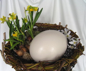 ダチョウの卵.jpg